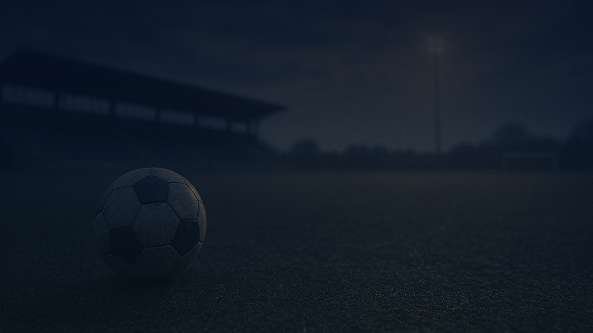 Interfaccia Svinco con profili e match